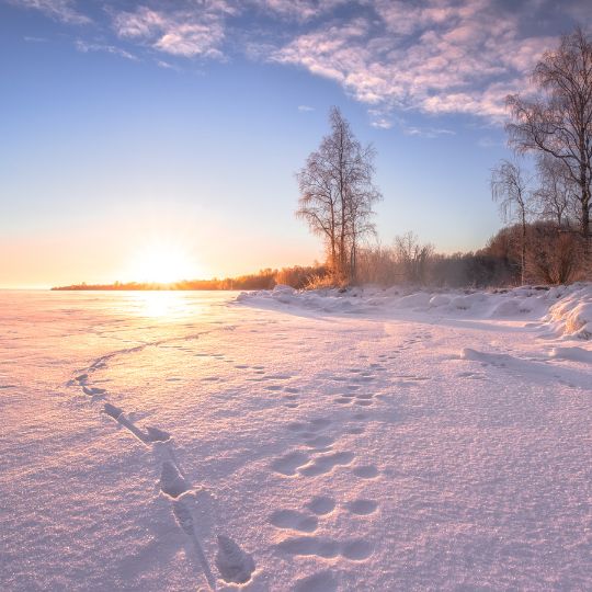 Tammikuun poikkeusaukioloajat