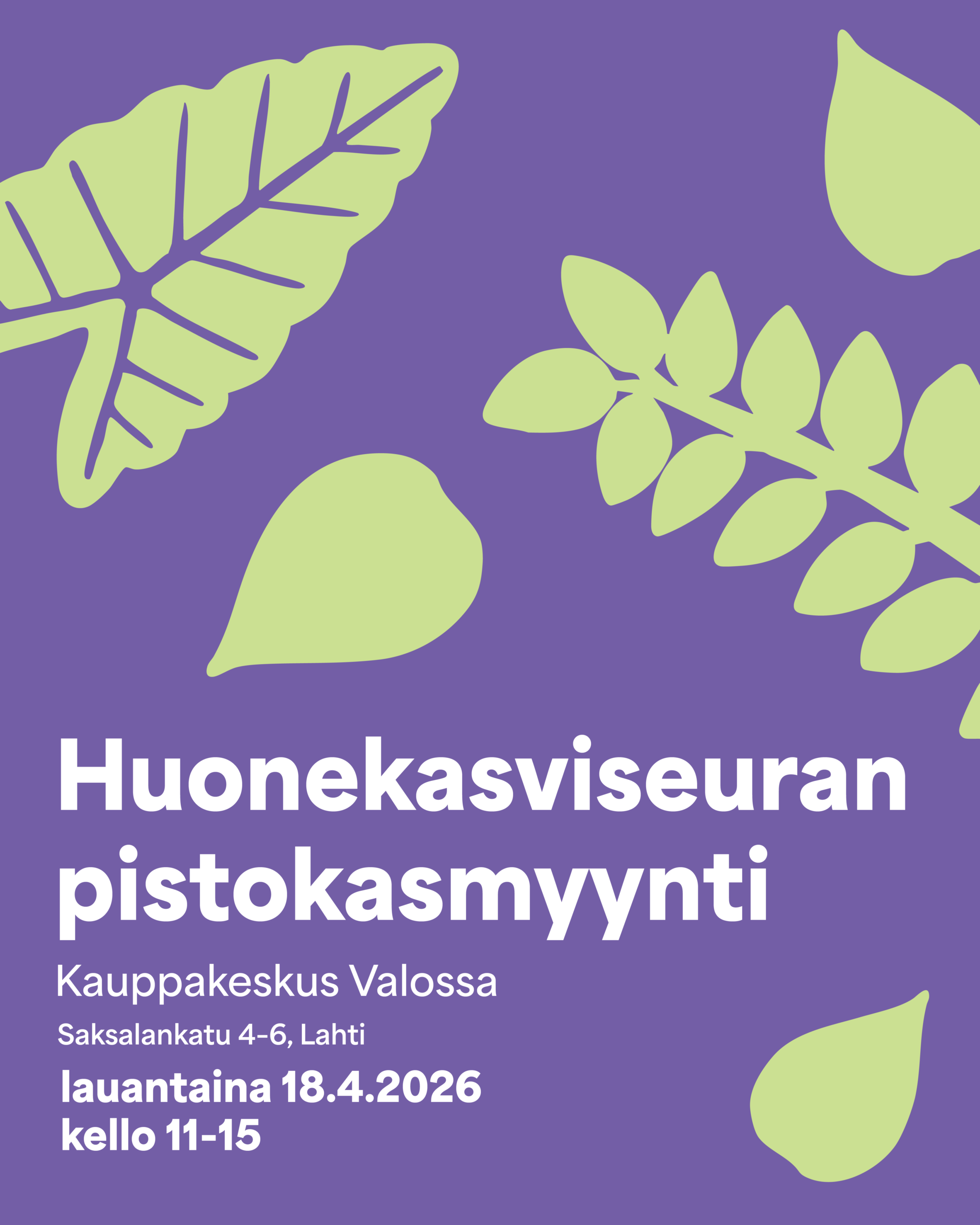 Huonekasviseuran pistokasmyynti saapuu Lahteen 18.4.2026